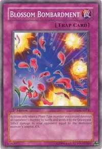 Blossom Bombardment - 1st Edition