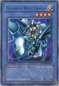 Paladin of White Dragon - 1st Edition