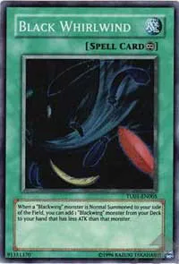 Black Whirlwind