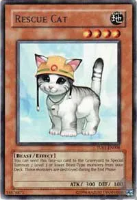 Rescue Cat