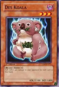 Des Koala - Unlimited