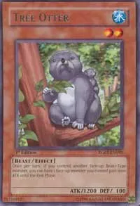 Tree Otter - Unlimited