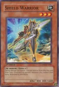 Shield Warrior - Unlimited