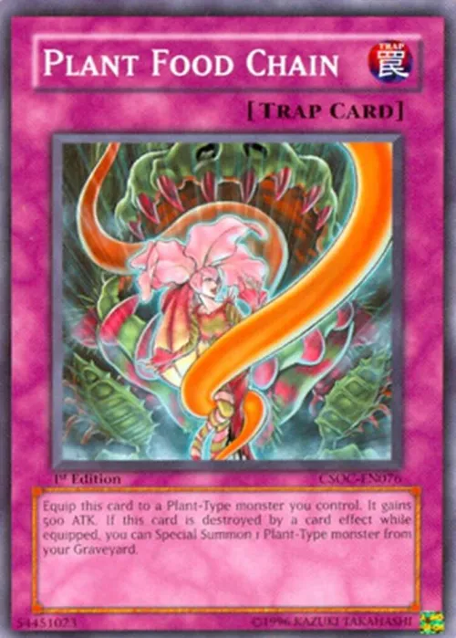 Plant Food Chain - 1st Edition