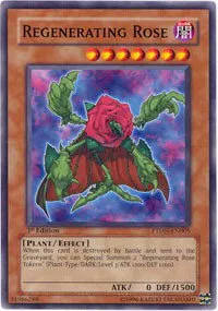 Regenerating Rose - 1st Edition