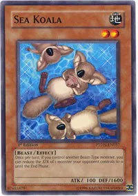 Sea Koala - 1st Edition