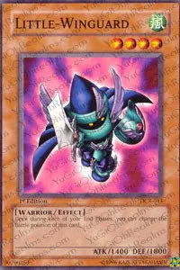 Little-Winguard - Unlimited