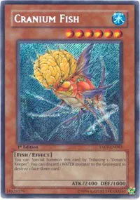 Cranium Fish - Unlimited