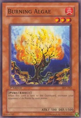 Burning Algae - 1st Edition