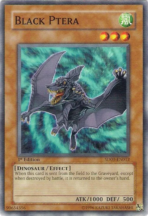 Black Ptera