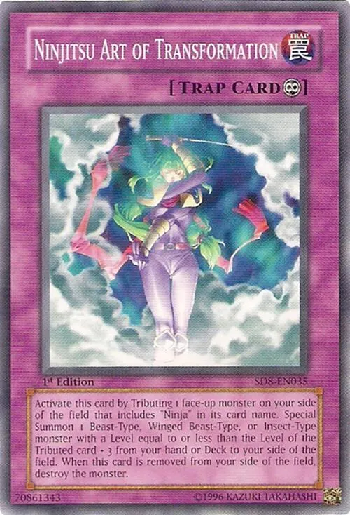 Ninjitsu Art of Transformation - Unlimited