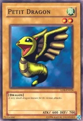 Petit Dragon
