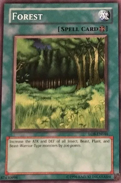 Forest