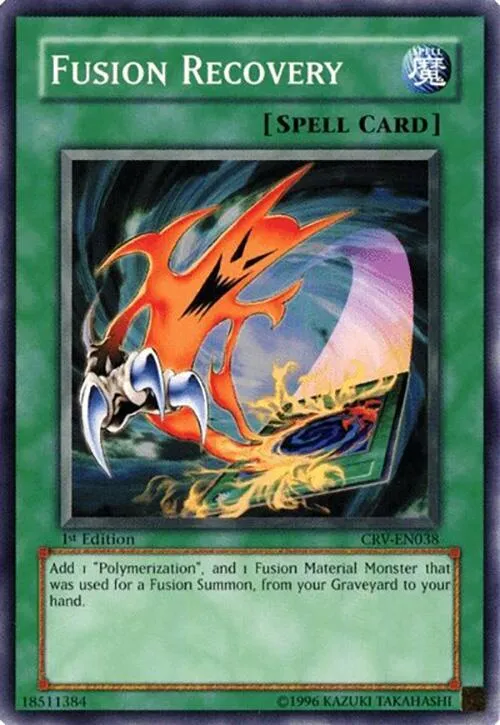 Fusion Recovery - 1st Edition