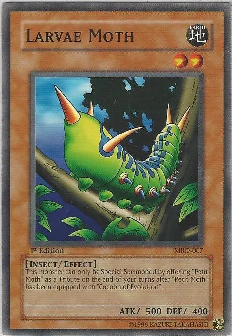 Larvae Moth - Unlimited