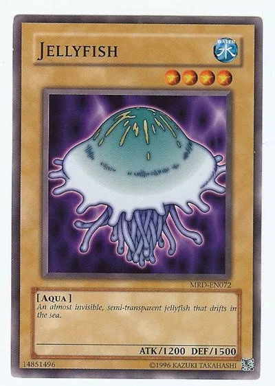 Jellyfish