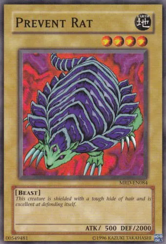 Prevent Rat