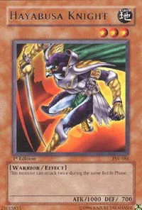 Hayabusa Knight - Unlimited