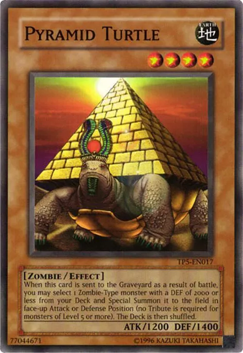 Pyramid Turtle