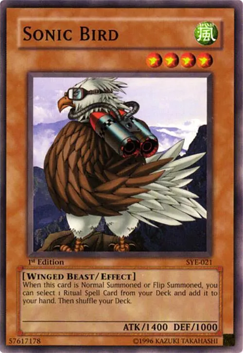 Sonic Bird - 1st Edition
