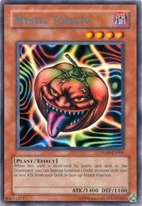 Mystic Tomato - Blue