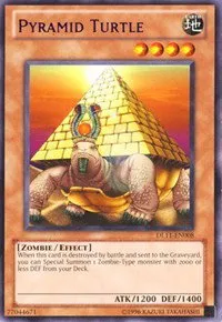 Pyramid Turtle - Purple