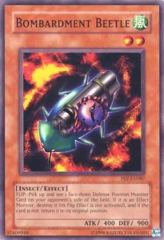 Bombardment Beetle