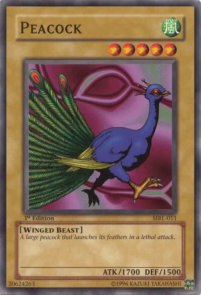 Peacock - Unlimited