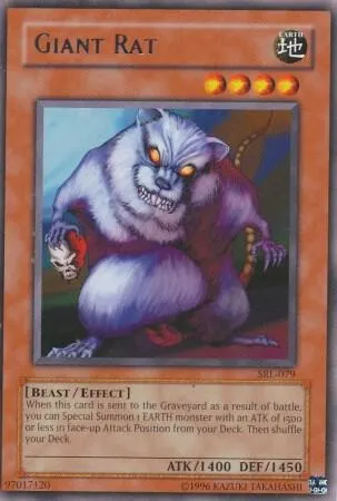 Giant Rat