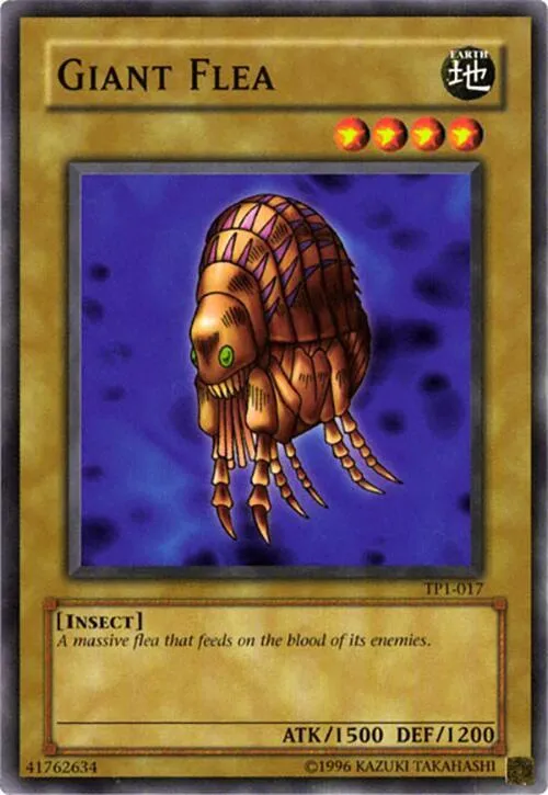 Giant Flea