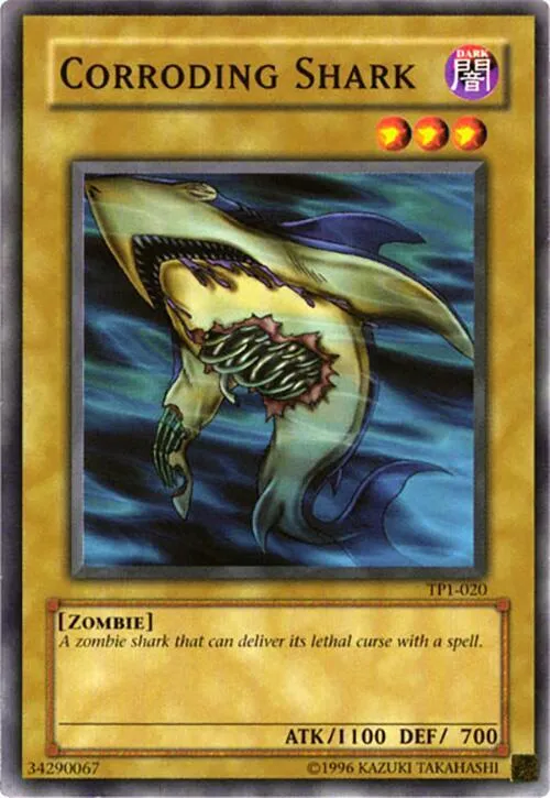 Corroding Shark