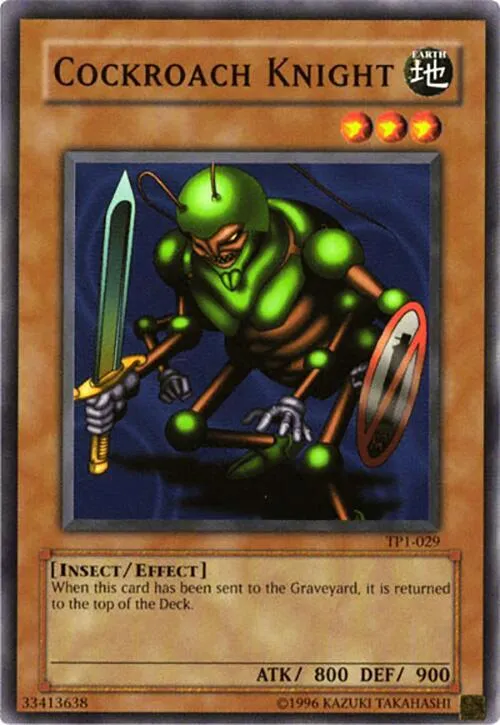 Cockroach Knight