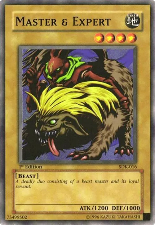 Master & Expert - 1st Edition