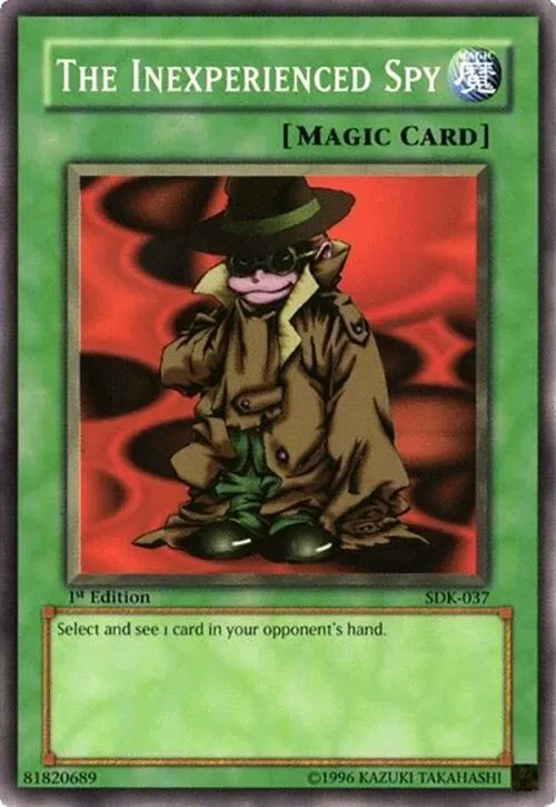 The Inexperienced Spy - 1st Edition